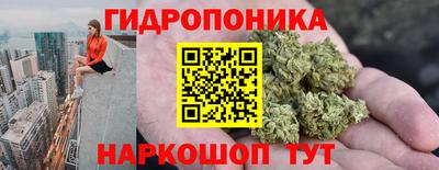 прущие крисы Конаково