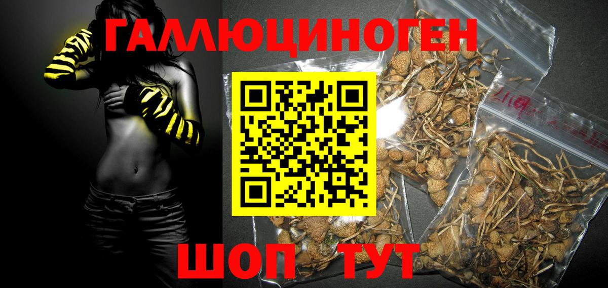 Коммунар  закладка  Вход с VPN  Галлюциногенные грибы мицелий  Галлюциногенные грибы ЛСД 