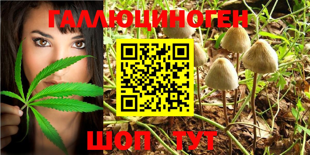 Псилоцибиновые грибы мухоморы Коммунар